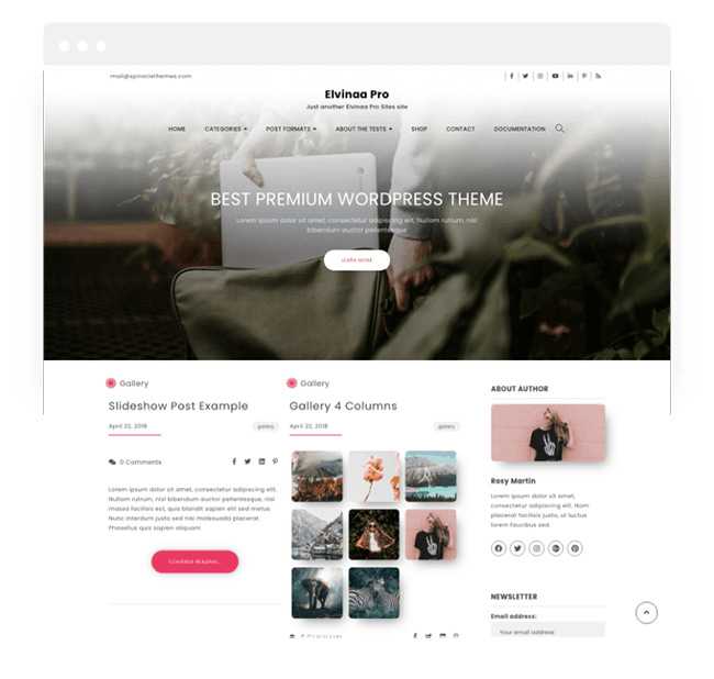 Elvinaa Premium WordPress Theme 1