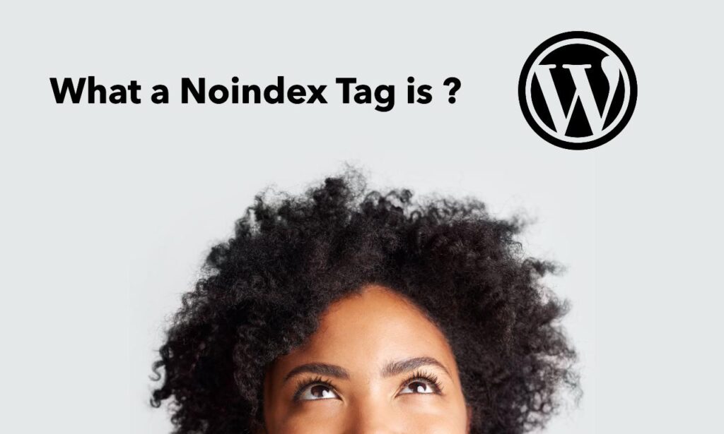 how to remove noindex tags in wordpress