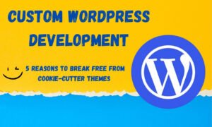 custom wordpress development