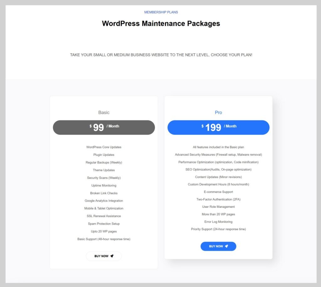 Boost Your Website's Success with Monthly WordPress Maintenance 1