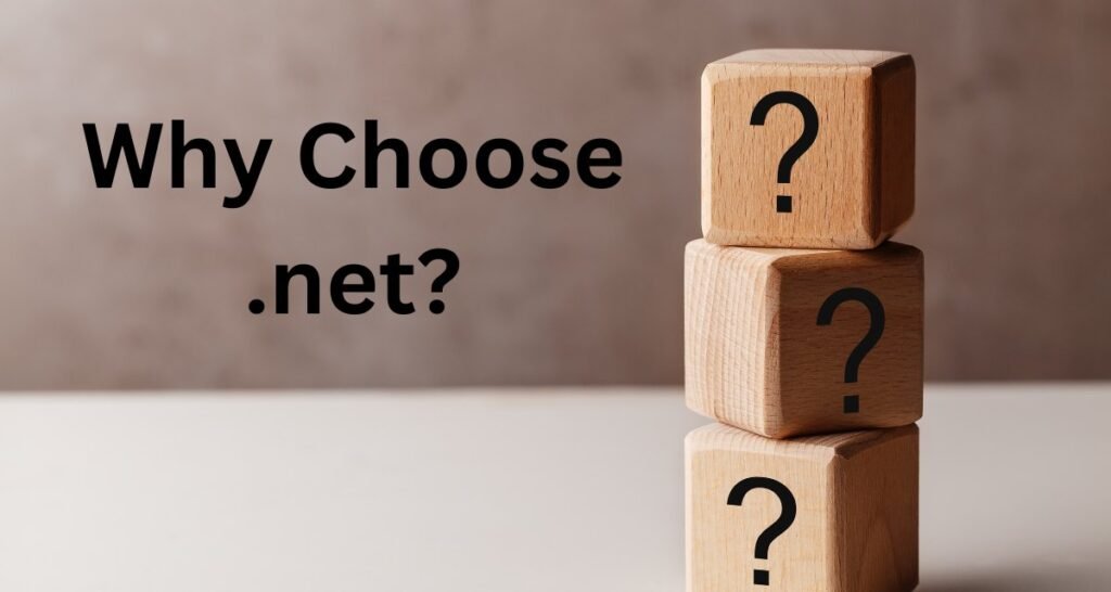 Why Choose .net domain