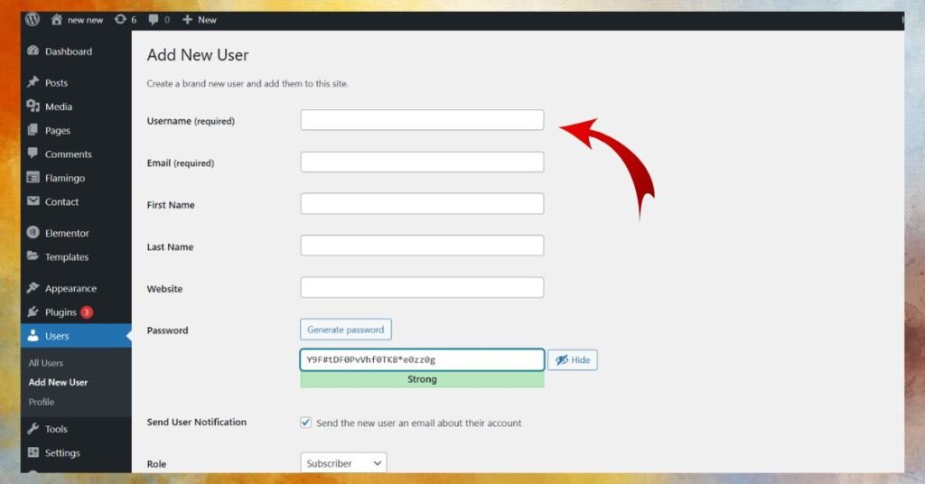 3. Fill Out the User Details