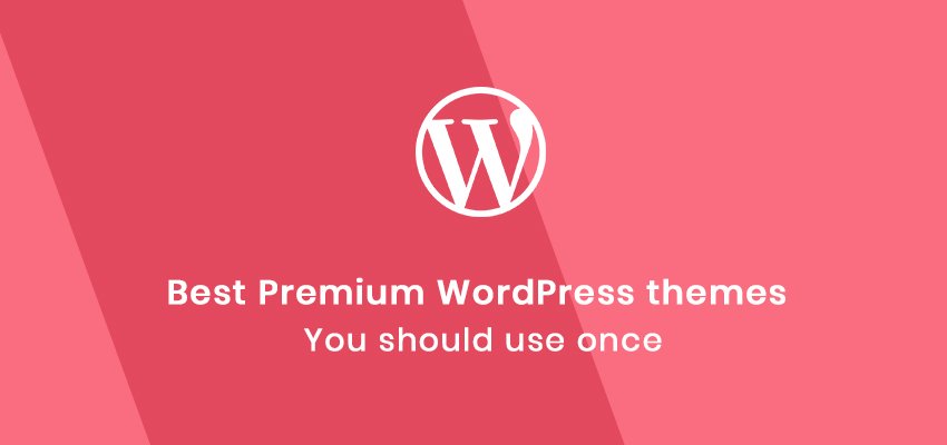 best premium WordPress themes you should once