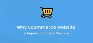 why eCommerce website is important