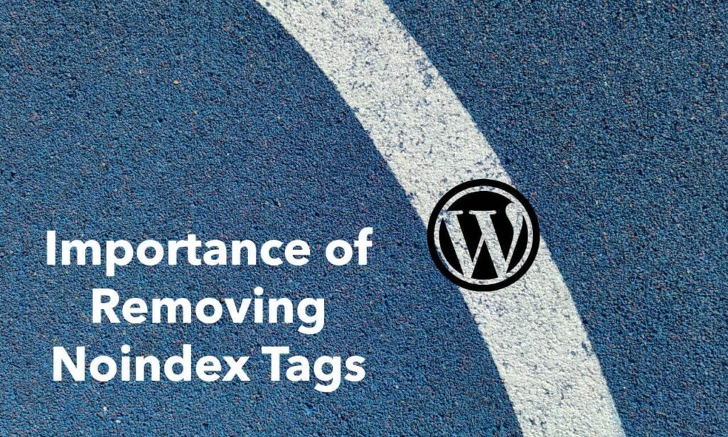 How to Remove Noindex Tags in WordPress for Better SEO in 2024 2 Importance-of-Removing-Noindex-Tags