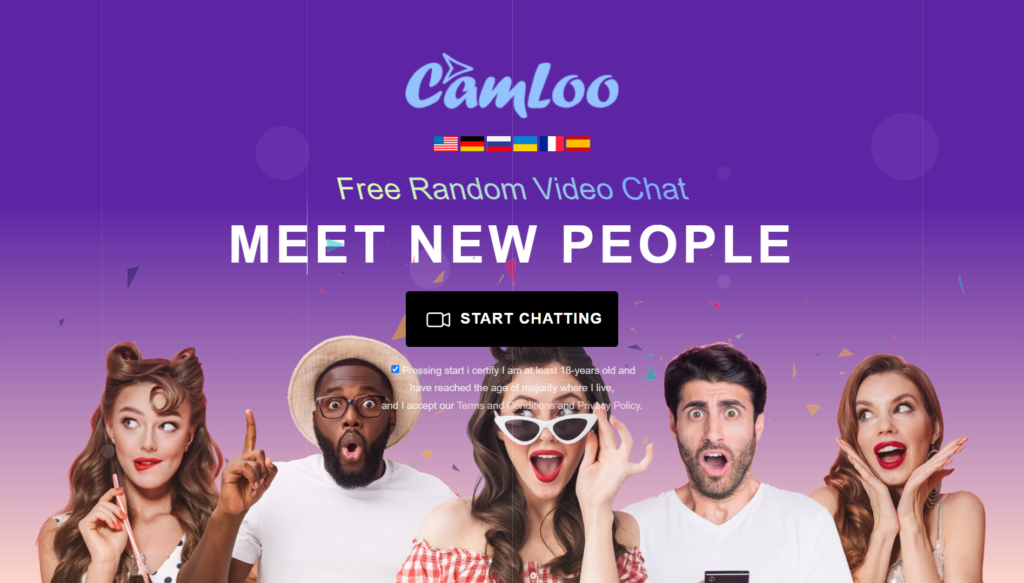 Top 10 Omegle Like Websites to Meet New People Online 7 Camloo