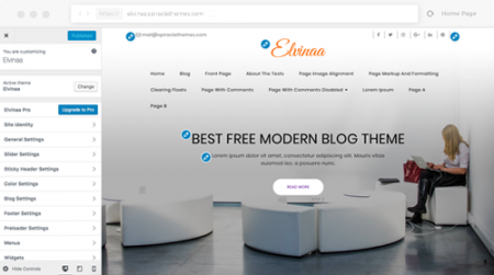 elvinaa-live-customizer